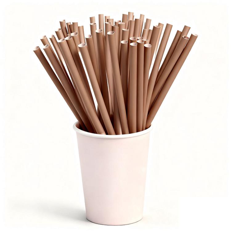 Disposable Drinking Straws