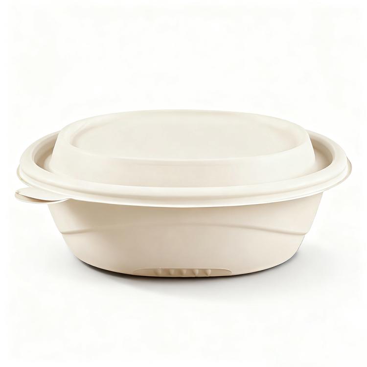 Disposable Food Delivery Lunch Box Containers