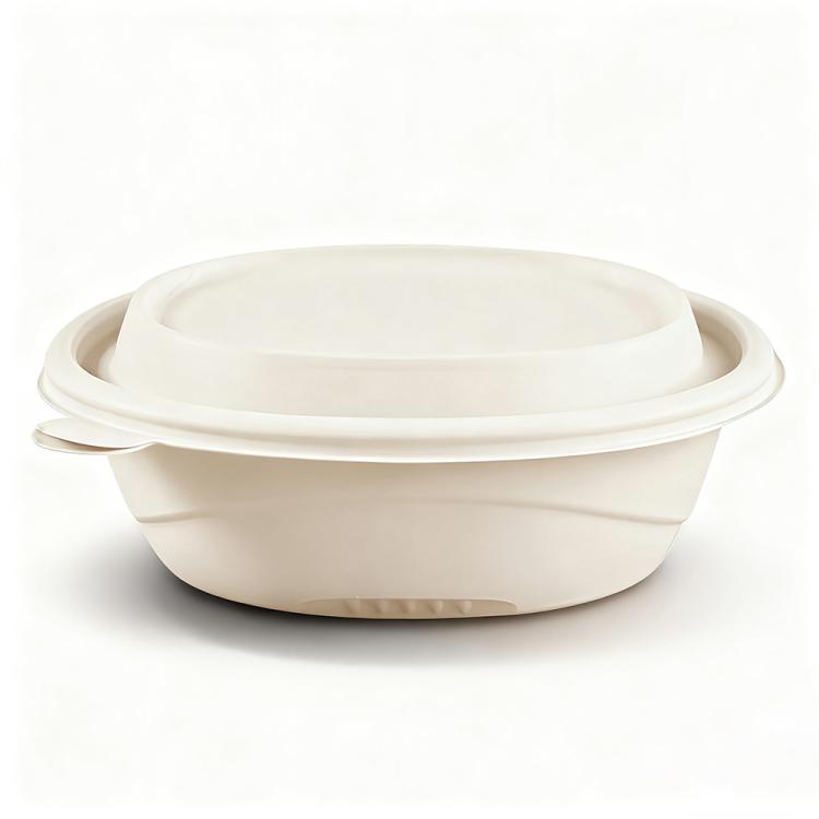 Disposable Food Delivery Lunch Box Containers