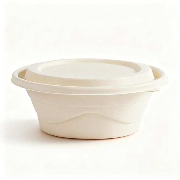 Disposable Food Delivery Lunch Box Containers