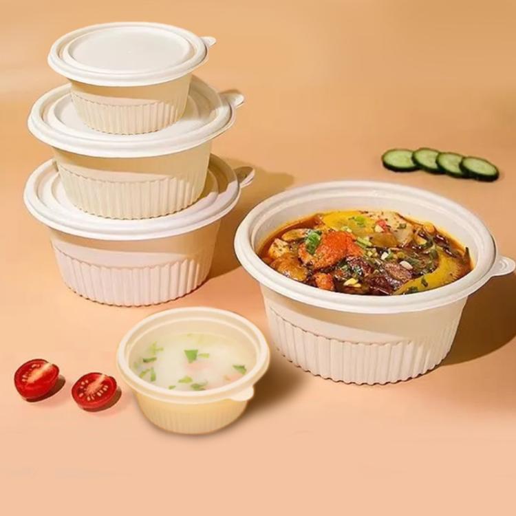 Disposable Food Delivery Lunch Box Containers