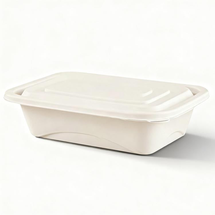 Disposable Food Delivery Lunch Box Containers with Lid, 380ML Square Box Short, 380ML Square Box, 500ML Square Box, 510ML, 510ML 2-Compartment, 510ML 3-Compartment, 650ML Square Box, 750ML Square Box, 850ML Square Box, 1000ML Square Box