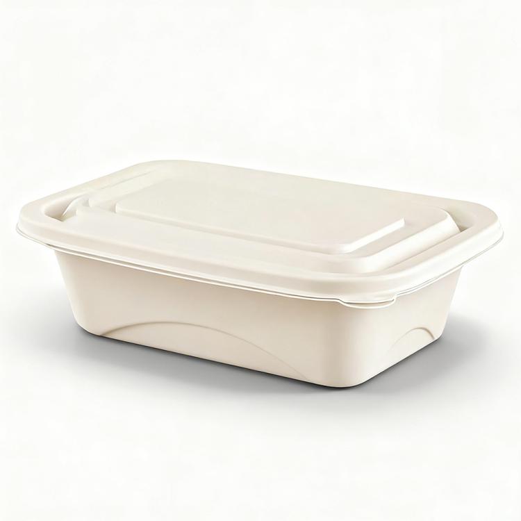 Disposable Food Delivery Lunch Box Containers with Lid, 380ML Square Box Short, 380ML Square Box, 500ML Square Box, 510ML, 510ML 2-Compartment, 510ML 3-Compartment, 650ML Square Box, 750ML Square Box, 850ML Square Box, 1000ML Square Box