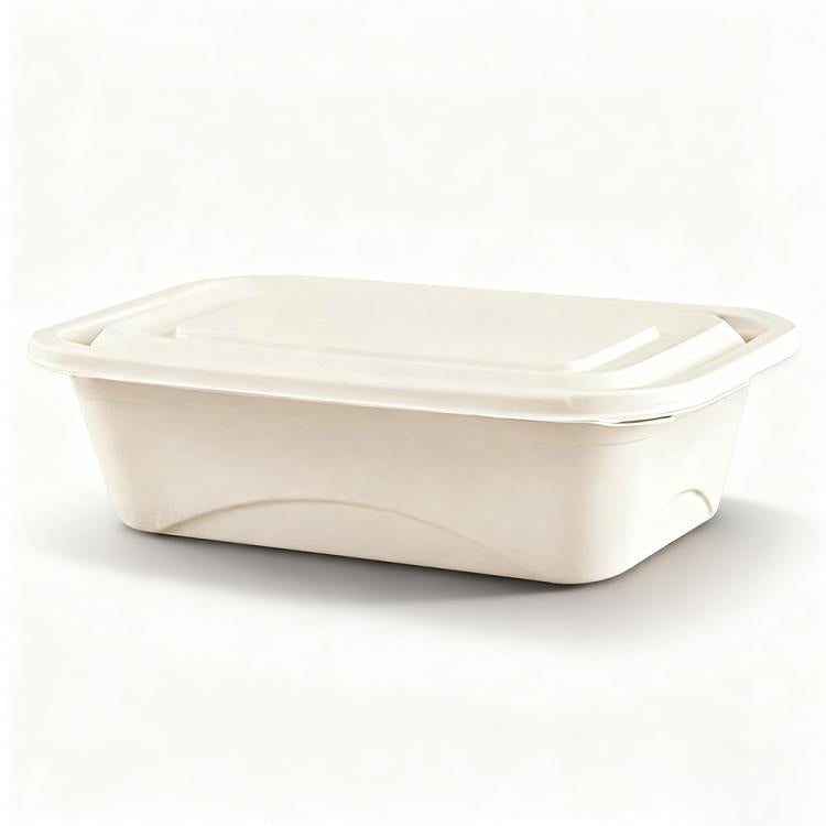 Disposable Food Delivery Lunch Box Containers with Lid, 380ML Square Box Short, 380ML Square Box, 500ML Square Box, 510ML, 510ML 2-Compartment, 510ML 3-Compartment, 650ML Square Box, 750ML Square Box, 850ML Square Box, 1000ML Square Box