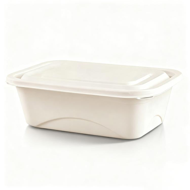 Disposable Food Delivery Lunch Box Containers with Lid, 380ML Square Box Short, 380ML Square Box, 500ML Square Box, 510ML, 510ML 2-Compartment, 510ML 3-Compartment, 650ML Square Box, 750ML Square Box, 850ML Square Box, 1000ML Square Box