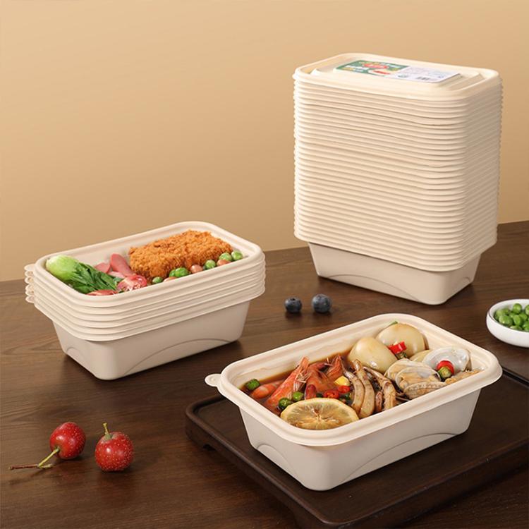 Disposable Food Delivery Lunch Box Containers with Lid, 380ML Square Box Short, 380ML Square Box, 500ML Square Box, 510ML, 510ML 2-Compartment, 510ML 3-Compartment, 650ML Square Box, 750ML Square Box, 850ML Square Box, 1000ML Square Box