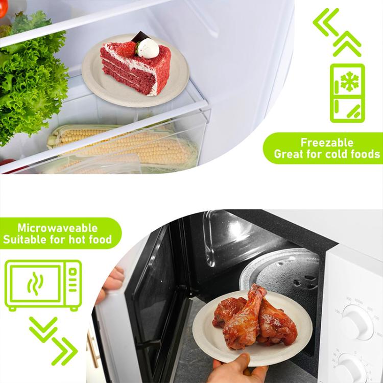 Biodegradable Disposable Round Plate