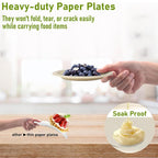 Biodegradable Disposable Round Plate