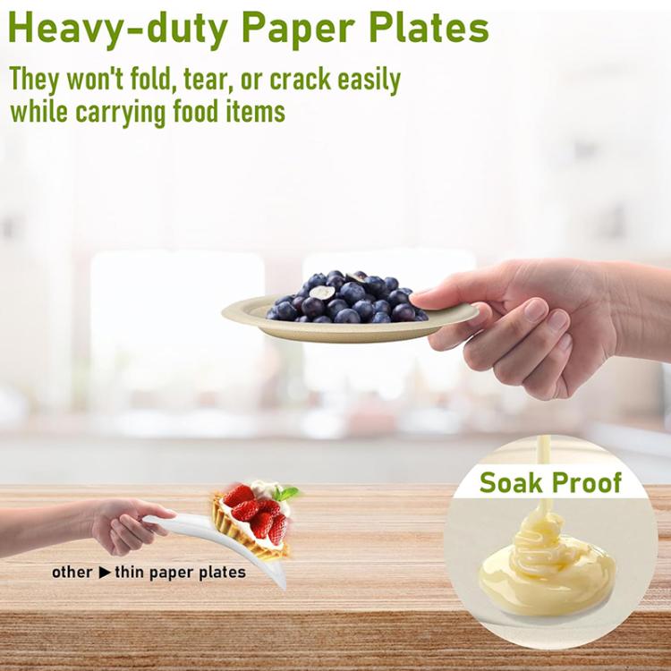 Biodegradable Disposable Round Plate