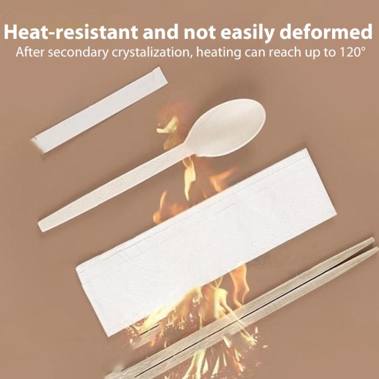 Food Delivery Disposable Utensils Set