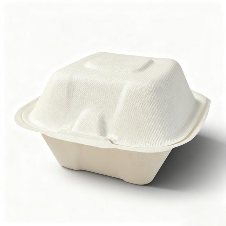 Disposable Takeout Lunch Box Containers