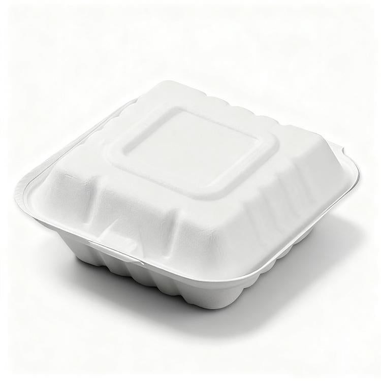 Disposable Takeout Lunch Box Containers