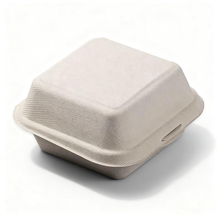 Disposable Takeout Lunch Box Containers