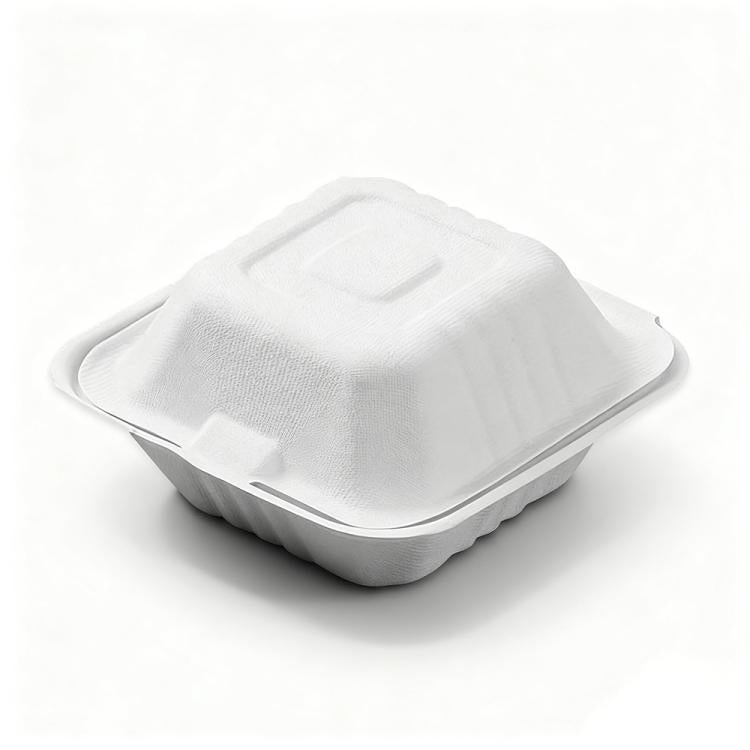 Disposable Takeout Lunch Box Containers