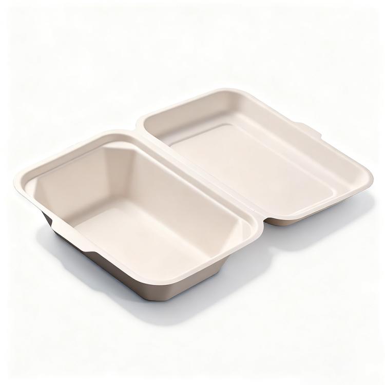 Disposable Takeout Lunch Box Containers