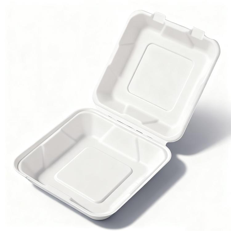 Disposable Takeout Lunch Box Containers
