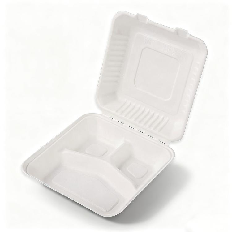 Disposable Takeout Lunch Box Containers