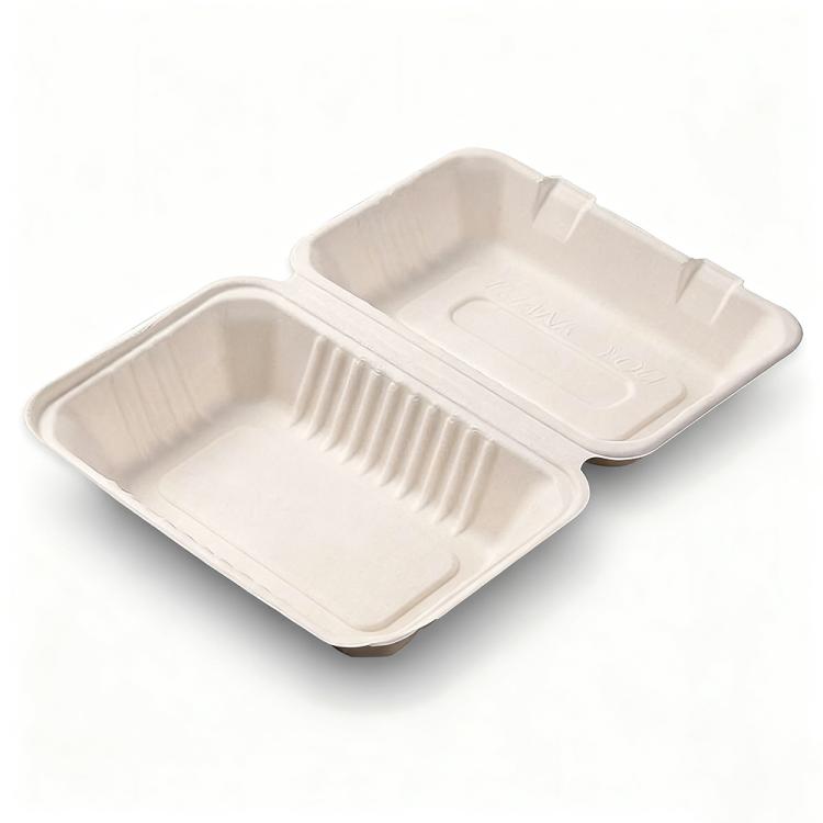 Disposable Takeout Lunch Box Containers