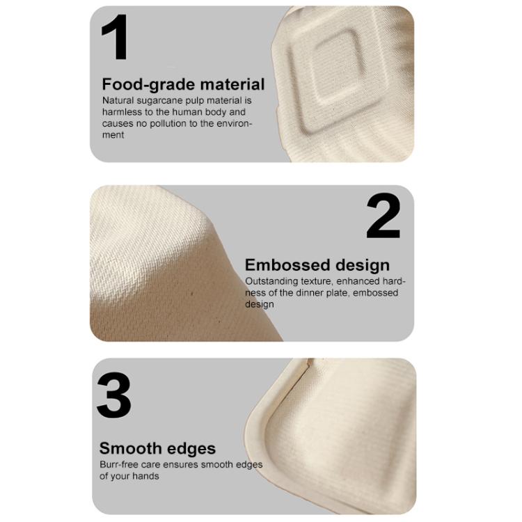 Disposable Takeout Lunch Box Containers