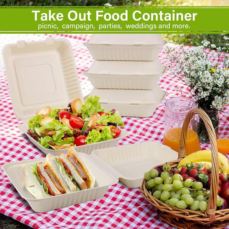 Disposable Takeout Lunch Box Containers